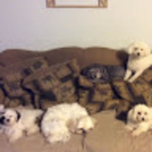 Meet your Posher, Meghan